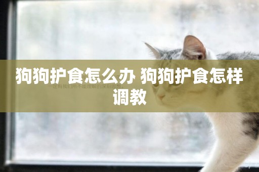 狗狗護食怎么辦 狗狗護食怎樣調教