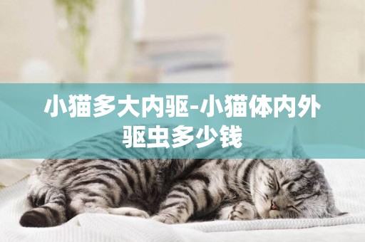 小貓多大內驅-小貓體內外驅蟲多少錢