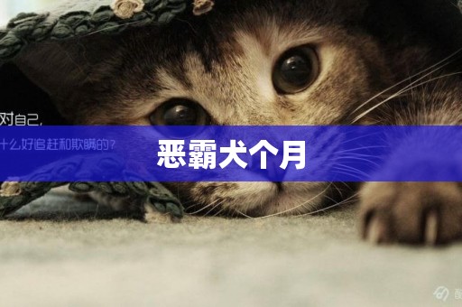 惡霸犬個月