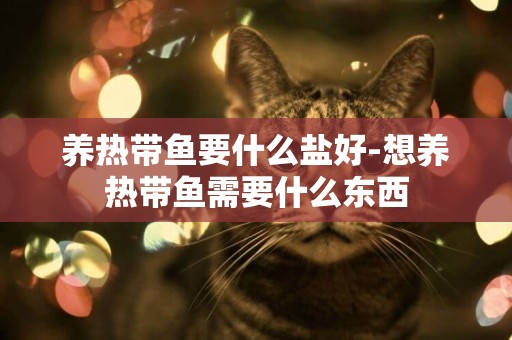 養熱帶魚要什么鹽好-想養熱帶魚需要什么東西