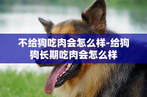 不給狗吃肉會怎么樣-給狗狗長期吃肉會怎么樣