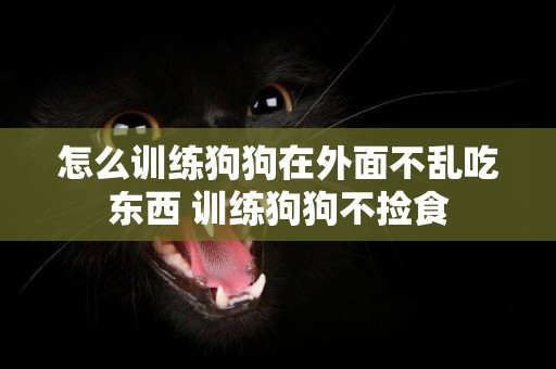 怎么訓練狗狗在外面不亂吃東西 訓練狗狗不撿食