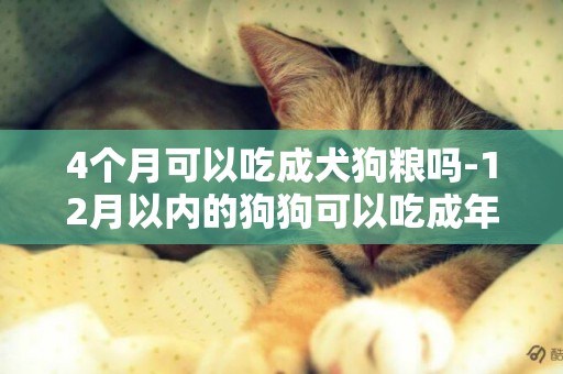 4個月可以吃成犬狗糧嗎-12月以內的狗狗可以吃成年狗糧嗎