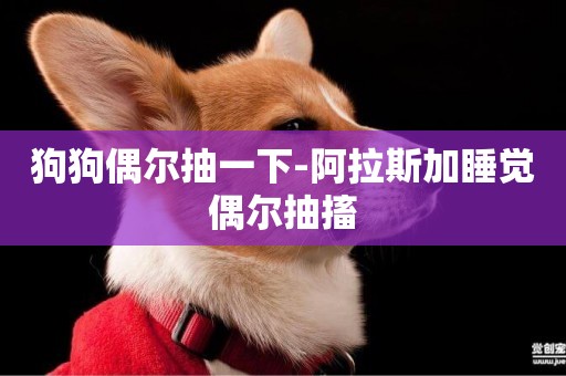 狗狗偶爾抽一下-阿拉斯加睡覺偶爾抽搐