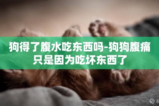 狗得了腹水吃東西嗎-狗狗腹痛只是因為吃壞東西了