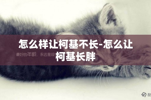怎么樣讓柯基不長-怎么讓柯基長胖
