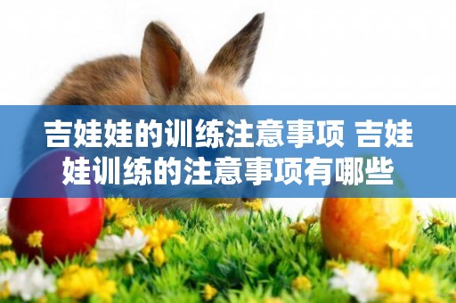 吉娃娃的訓練注意事項 吉娃娃訓練的注意事項有哪些