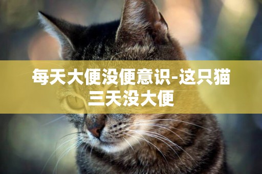 每天大便沒便意識-這只貓三天沒大便
