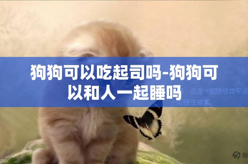 狗狗可以吃起司嗎-狗狗可以和人一起睡嗎