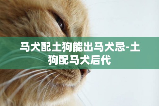 馬犬配土狗能出馬犬忌-土狗配馬犬后代