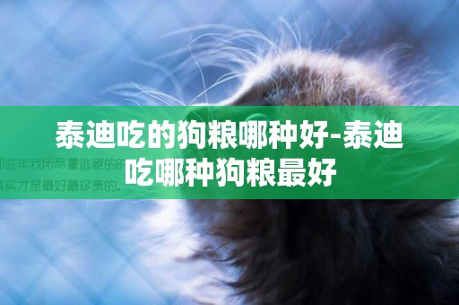 泰迪吃的狗糧哪種好-泰迪吃哪種狗糧最好