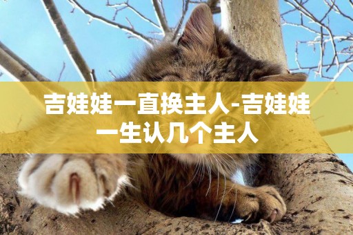 吉娃娃一直換主人-吉娃娃一生認幾個主人