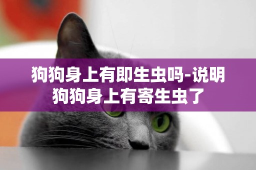 狗狗身上有即生蟲嗎-說明狗狗身上有寄生蟲了