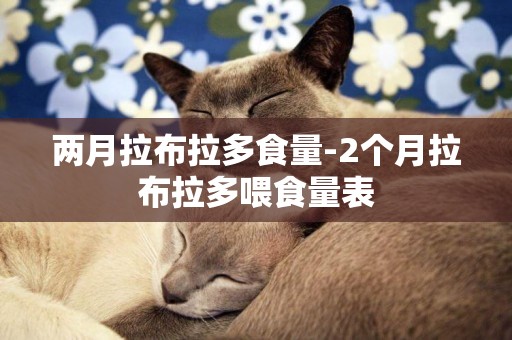 兩月拉布拉多食量-2個月拉布拉多喂食量表