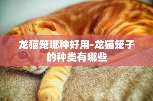 龍貓籠哪種好用-龍貓籠子的種類有哪些
