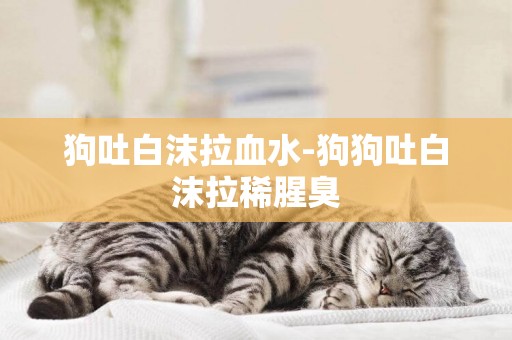 狗吐白沫拉血水-狗狗吐白沫拉稀腥臭