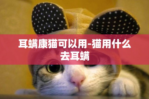 耳螨康貓可以用-貓用什么去耳螨