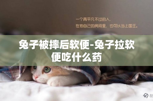 兔子被摔后軟便-兔子拉軟便吃什么藥