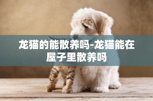 龍貓的能散養嗎-龍貓能在屋子里散養嗎