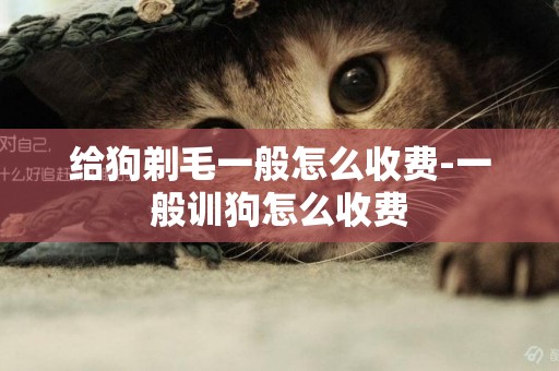 給狗剃毛一般怎么收費-一般訓狗怎么收費