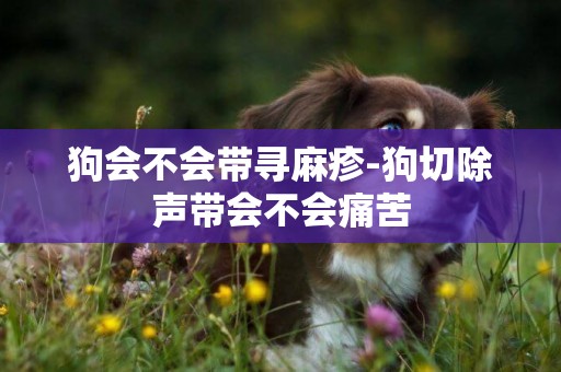 狗會不會帶尋麻疹-狗切除聲帶會不會痛苦