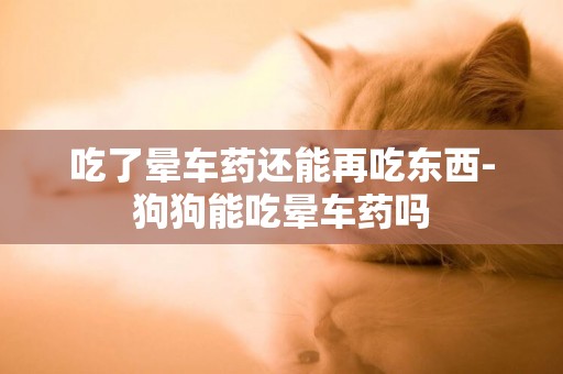 吃了暈車藥還能再吃東西-狗狗能吃暈車藥嗎