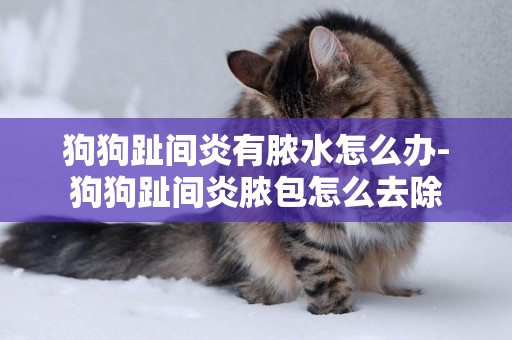 狗狗趾間炎有膿水怎么辦-狗狗趾間炎膿包怎么去除