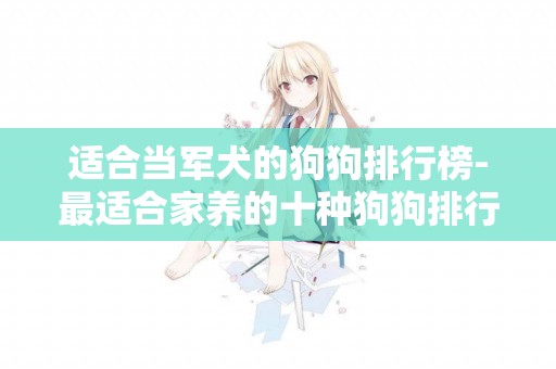 適合當軍犬的狗狗排行榜-最適合家養的十種狗狗排行榜