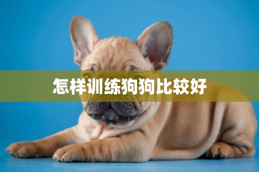 怎樣訓練狗狗比較好
