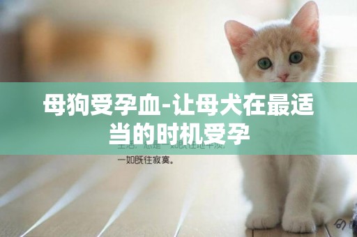 母狗受孕血-讓母犬在最適當的時機受孕