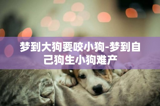 夢到大狗要咬小狗-夢到自己狗生小狗難產