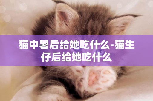 貓中暑后給她吃什么-貓生仔后給她吃什么