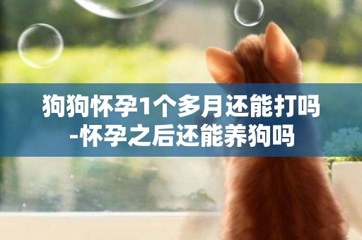 狗狗懷孕1個多月還能打嗎-懷孕之后還能養狗嗎