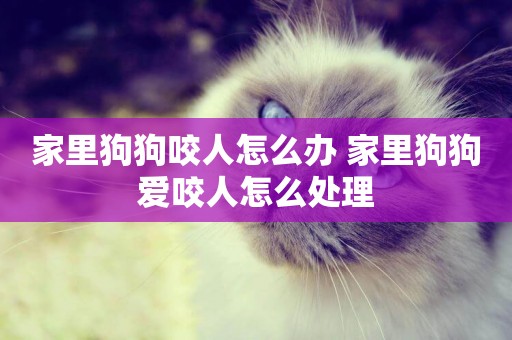家里狗狗咬人怎么辦 家里狗狗愛咬人怎么處理