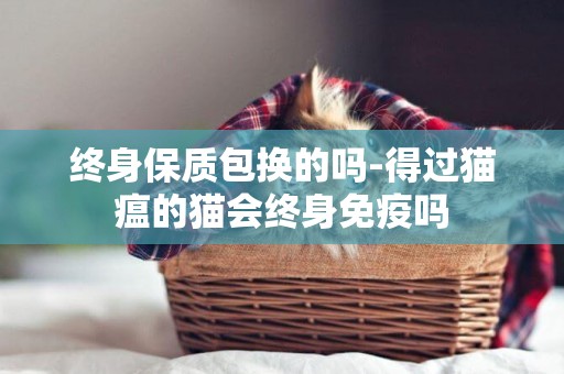 終身保質包換的嗎-得過貓瘟的貓會終身免疫嗎