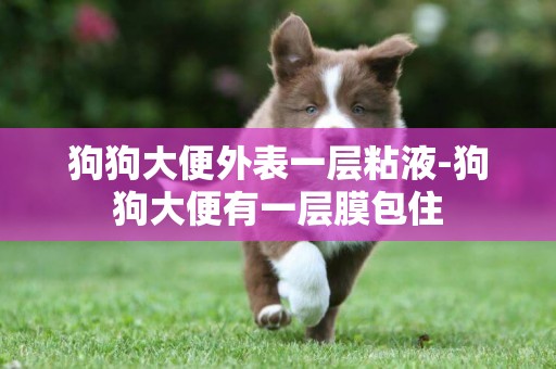 狗狗大便外表一層粘液-狗狗大便有一層膜包住