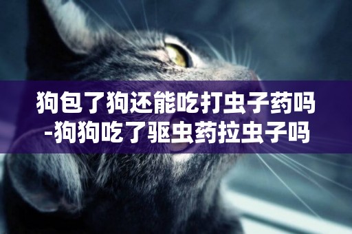 狗包了狗還能吃打蟲子藥嗎-狗狗吃了驅蟲藥拉蟲子嗎