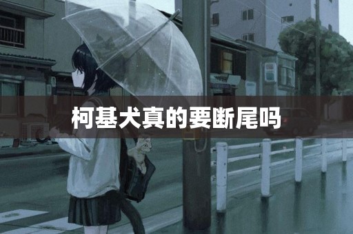柯基犬真的要斷尾嗎