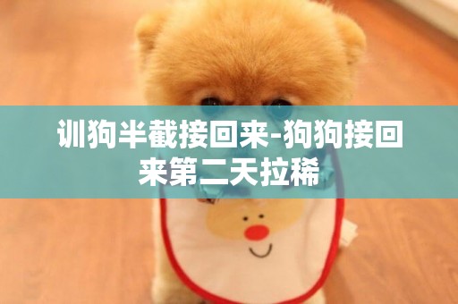 訓狗半截接回來-狗狗接回來第二天拉稀