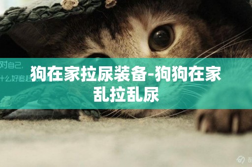 狗在家拉尿裝備-狗狗在家亂拉亂尿