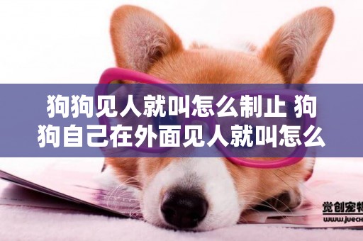 狗狗見人就叫怎么制止 狗狗自己在外面見人就叫怎么辦