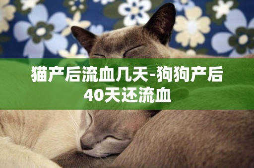 貓產后流血幾天-狗狗產后40天還流血