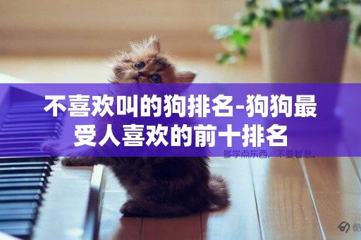 不喜歡叫的狗排名-狗狗最受人喜歡的前十排名