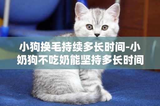 小狗換毛持續多長時間-小奶狗不吃奶能堅持多長時間