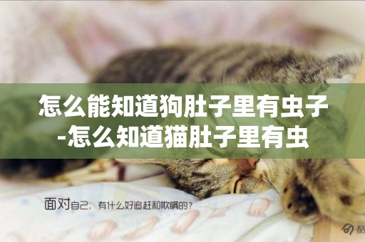 怎么能知道狗肚子里有蟲子-怎么知道貓肚子里有蟲
