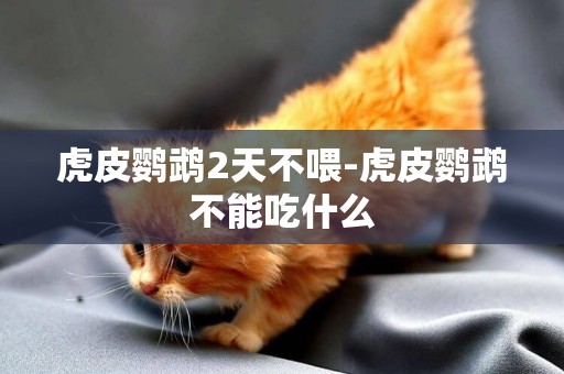 虎皮鸚鵡2天不喂-虎皮鸚鵡不能吃什么