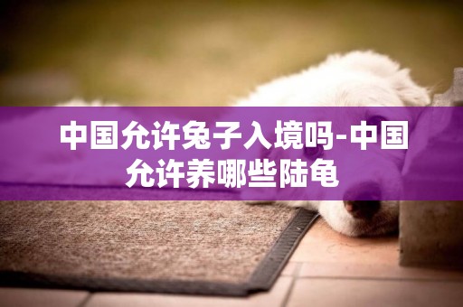 中國允許兔子入境嗎-中國允許養哪些陸龜