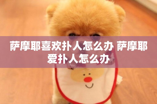 薩摩耶喜歡撲人怎么辦 薩摩耶愛撲人怎么辦