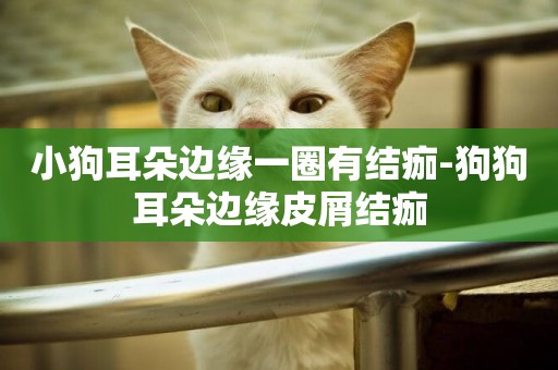 小狗耳朵邊緣一圈有結痂-狗狗耳朵邊緣皮屑結痂