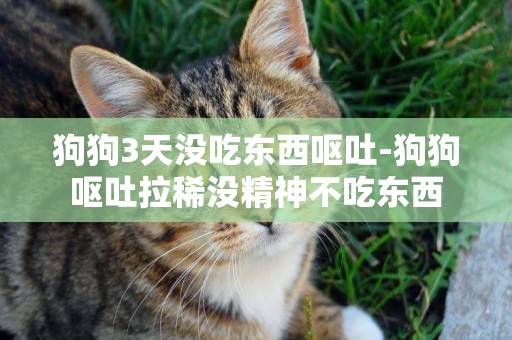 狗狗3天沒吃東西嘔吐-狗狗嘔吐拉稀沒精神不吃東西